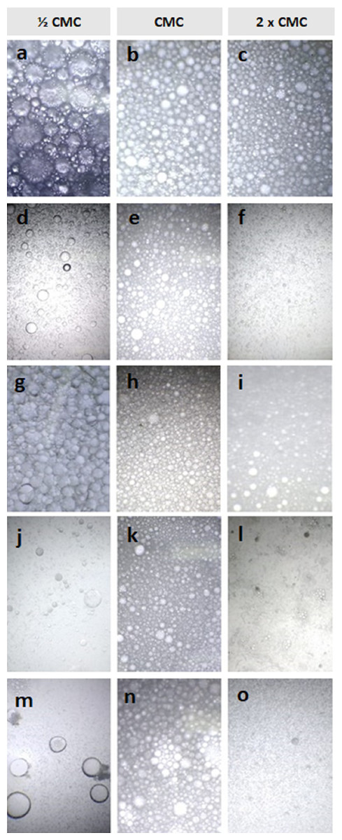 Production Of Cupcake Like Dessert Containing Microbial Biosurfactant As An Emulsifier Peerj