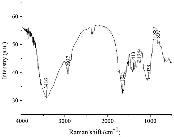 FT-IR spectrum of the polysaccharide AHP-M.