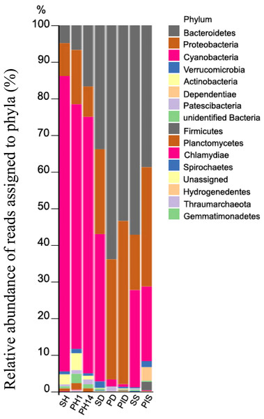 Taxonomic profiles of the microbial communities at the phylum level.