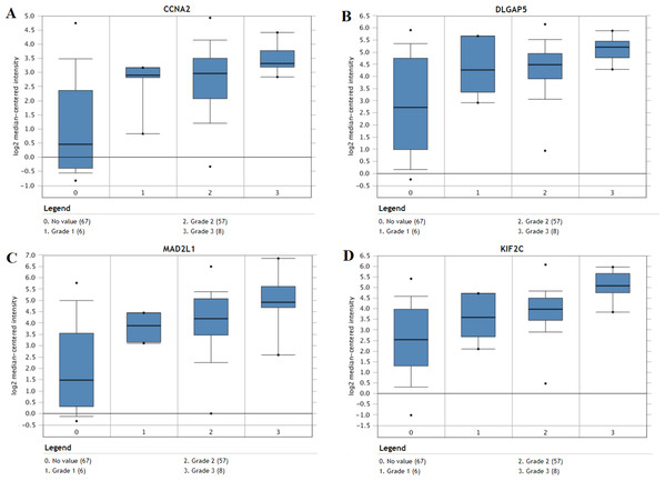 The association between the expression of prognosis-related hub genes and tumor grade (A–D).