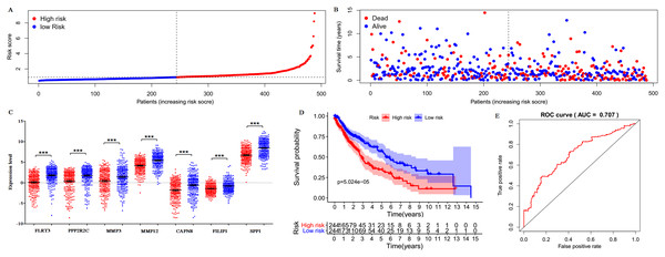 Prognostic gene signature of the seven genes in 488 LUSC patients.