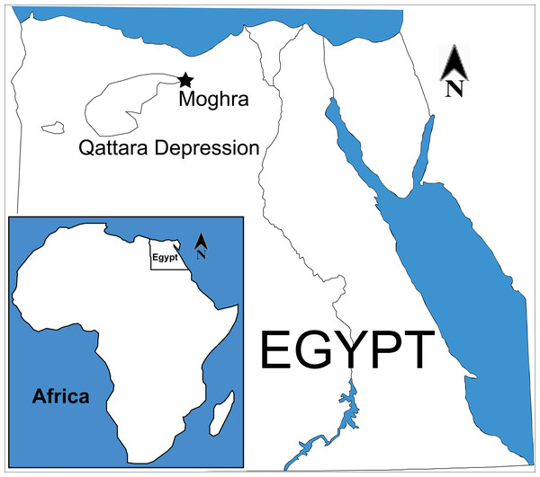 Map of Egypt, indicating the geographic position of Moghra.