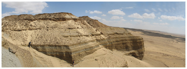 Panoramic photograph of the Moghra Formation.