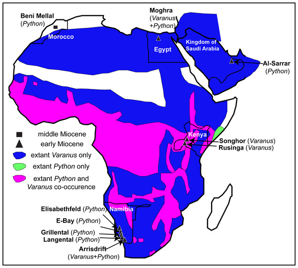 Map of Afro-Arabia indicating all early and middle Miocene localities from where fossil remains of Varanus and or Python have so far been descri bed.