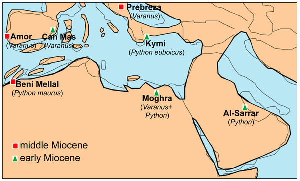 Palaeogeographic reconstruction of the Mediterranean region during the late early to early middle Miocene, showing all the localities that have yielded fossil remains of Varanus and Python.