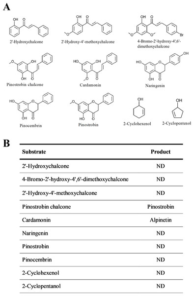 Substrate specificity of recombinant BrPT2.