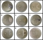 Antifungal activity of 8-methoxynaphthalen-1-ol isolated from the ...