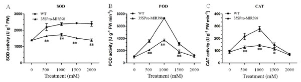 (A) SOD, (B) POD, and (C) CAT activity of Arabidopsis leaves after copper sulfate treatments.