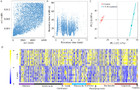 Comparative metabolomic analyses of Dendrobium officinale Kimura et ...