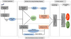 Assessment and simulation of land use and land cover change impacts on ...