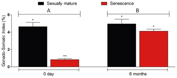 Changes in the gonado-somatic index of senescence and control gonads between 0 day (A) and six months (B).