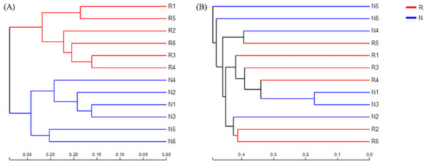 Hierarchical clustering tree of different soil microorganisms at OTU level.