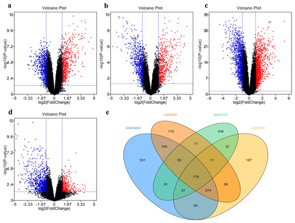 Filter and identify DEGs in various GEO datasets.