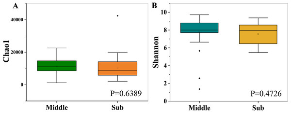Chao1 richness indices (A) and Shannon diversity indices (B).
