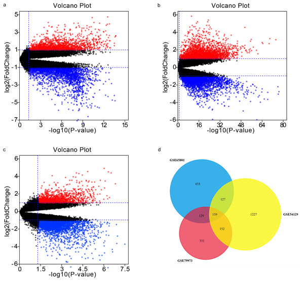 Volcano plots and Venn diagram.