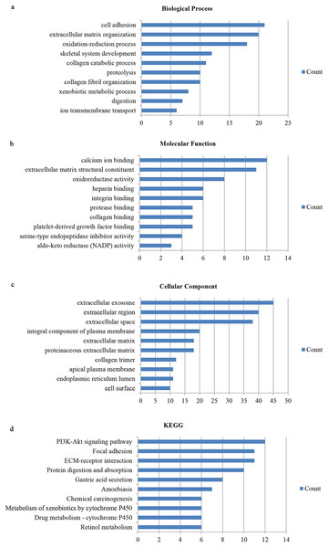 Gene ontology and DEG pathway enrichment analysis in GC.