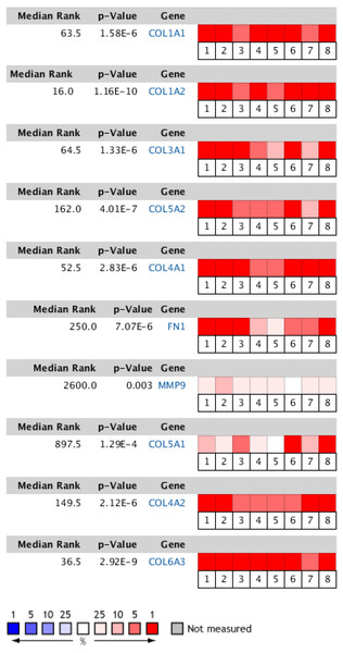 Heat map of differential expression between clinical GC samples and normal samples in the Oncomine dataset.