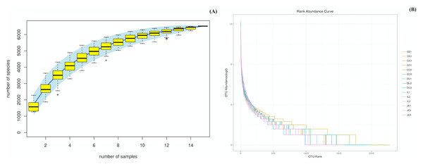 Species accumulation (A) and rank-abundance (B) curves analysis of the different gut intestinal tract samples at 97% sequences identity.