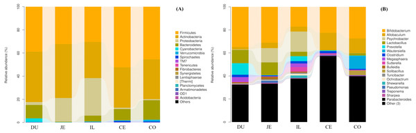 Community composition of the gut microbiota in different intestinal segments of wild pigs at the phylum (A) and genus (B) levels, respectively.