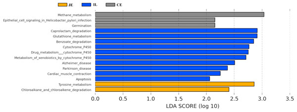 Predicted functional differentially of the bacterial genus represented in the jejunum (JE), ileum (IL), and cecum (CE) gut locations in wild pigs identified by LEFSe using an LDA score threshold of >2.0.