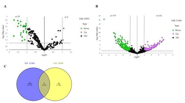 Identification of differentially expressed miRNAs analysis.