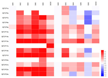 Genome-wide identification and characterization of TCP family genes in ...