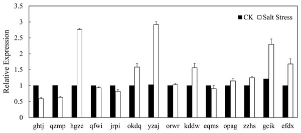 Expression analysis of BvARF genes in root in response to salinity stress.