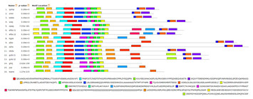 Genome-wide sequence identification and expression analysis of ARF ...