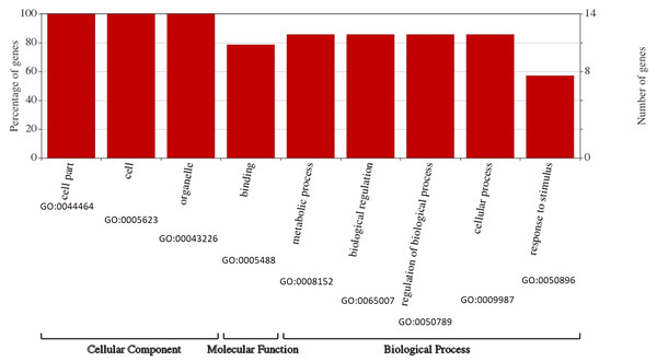 Assignment of GO categories to BvARF genes.