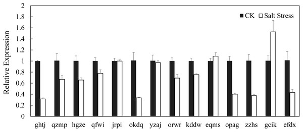 Expression analysis of BARF genes in leaf in response to salinity stress.