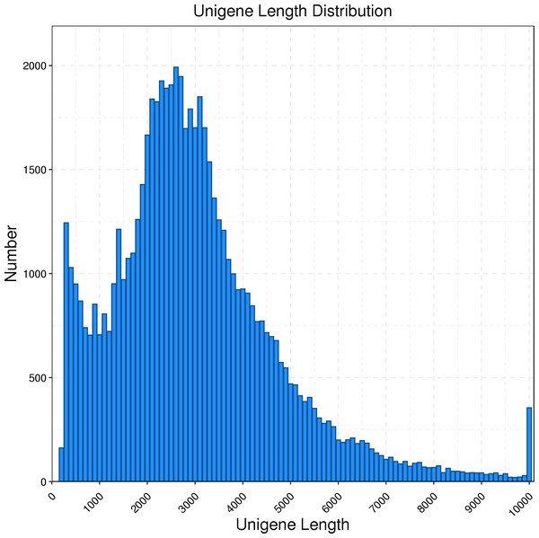 Length distribution of R. ferrugineus unigenes obtained by PacBio Iso-Seq.