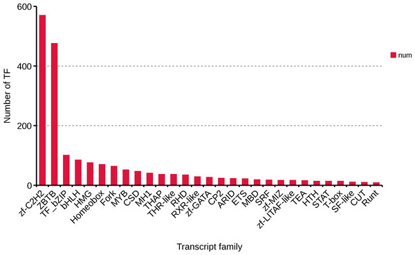 Number and family of top 29 transcription factors predicted by SMRT.