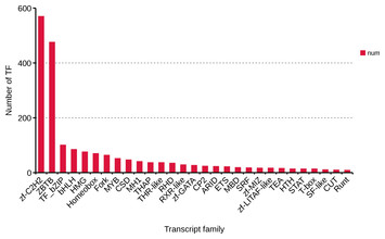 SMRT sequencing of the full-length transcriptome of the Rhynchophorus ...