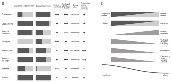 Depth-related attributes of the studied samples from the Cassian Formation (A); hypothesized changes of sample characteristics with depth (B).