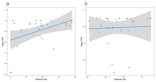 Distance decay calculated as correlation between spatial distance (based on the GPS coordinates provided in Tables 1 and 2) and pairwise proportional dissimilarity in the Cassian dataset (A) and the by-site Safaga dataset (B).