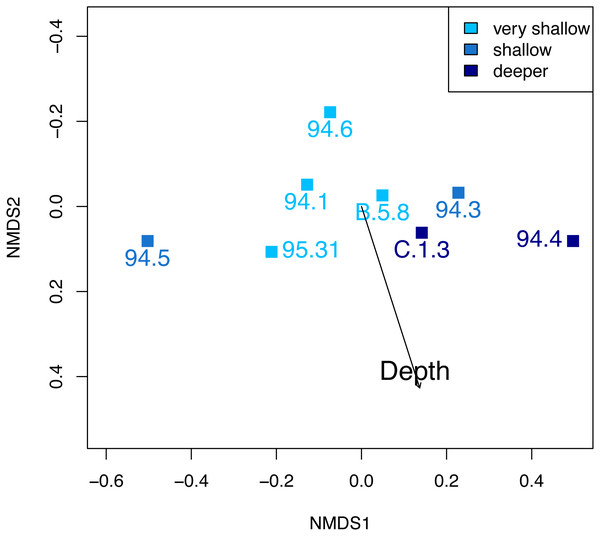 Non-metric multidimensional scaling of the Safaga samples, color-coded by depth.