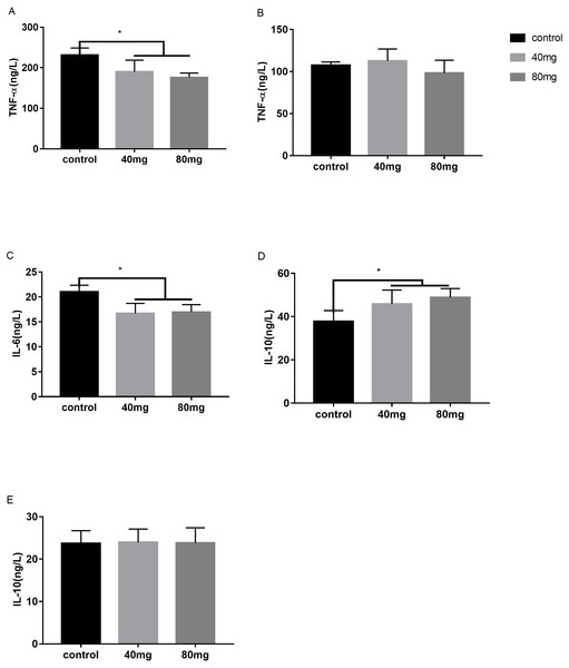 Effects of RBMF on the pro and anti-inflammatory cytokines.