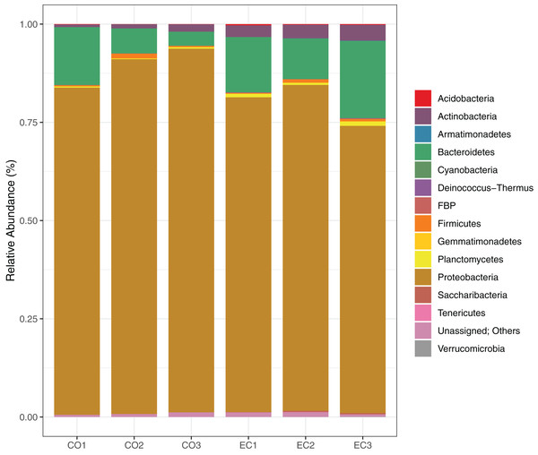 Bacterial distribution in the phyllosphere at the phyllum level.