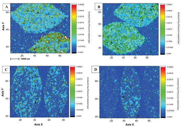 Microchemical maps obtained by micro-XRF for Cu in the surface of Citrus sp. leaves.