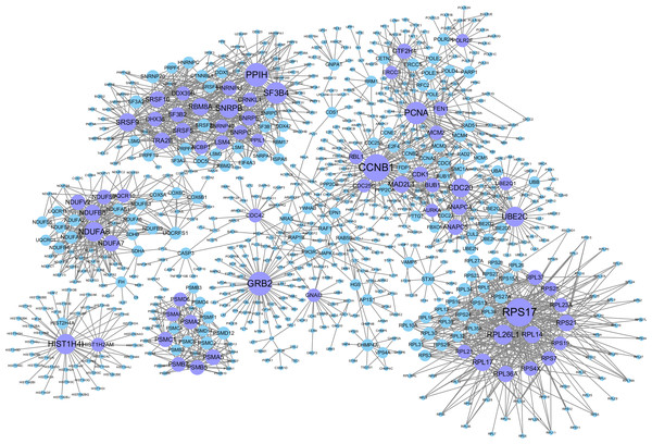 Gene–gene interaction networks related to breast cancer.
