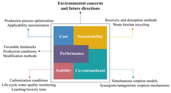 Environmental concerns and future research directions of biochar application.