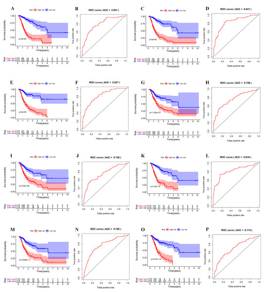 ROC and K-M curves of eight risk scores constructed using survival-associated alternative spicing events in GC.