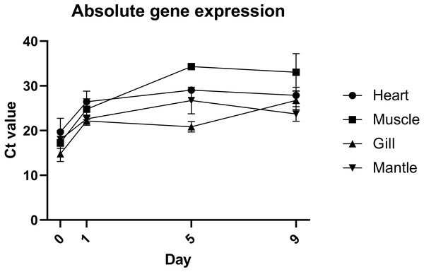 Absolute expression of a housekeeping gene in oyster primary cell culutre from multiple tissues.
