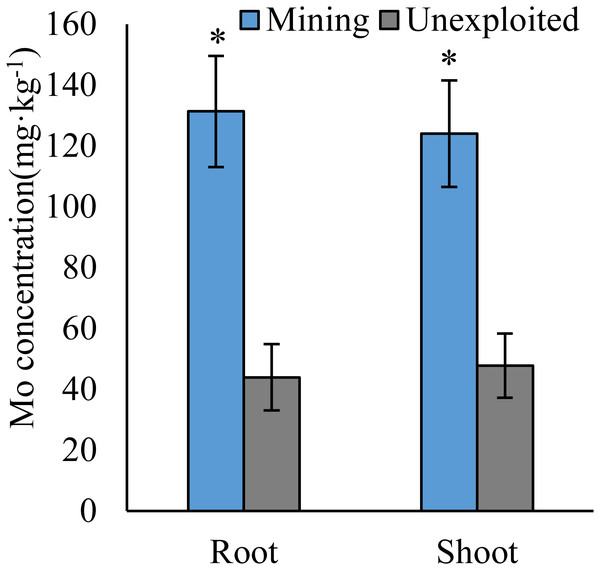 Mo concentration of plants growing in the mining and the unexploited areas.