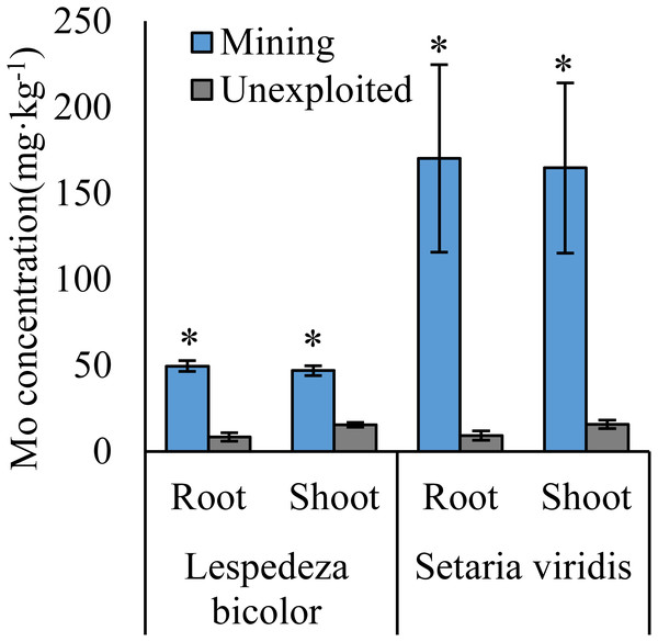 Mo concentration of dominant species growing in the mining and the unexploited areas.