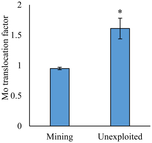 Mo translocation of plants growing in the mining and the unexploited areas.