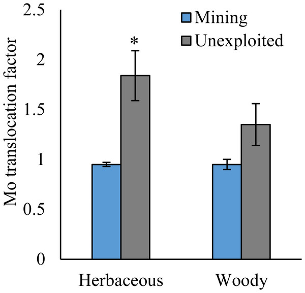 Mo translocation of different life forms of plants growing in the mining and the unexploited areas.