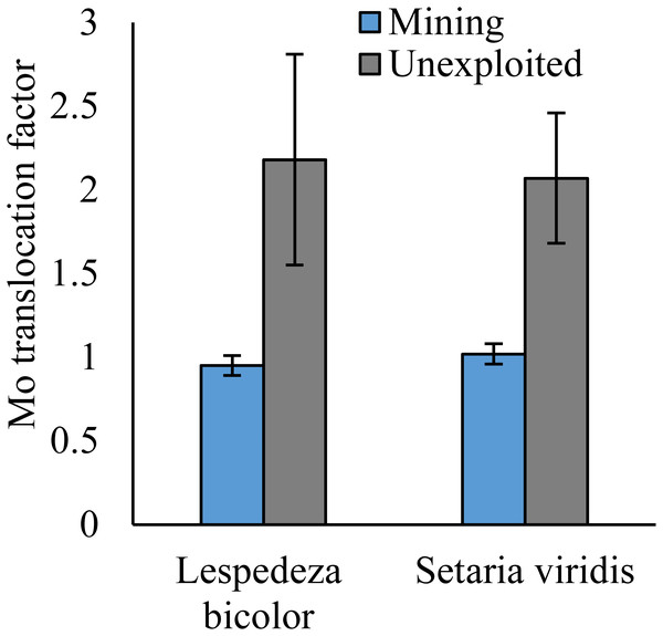 Mo translocation of dominant species growing in the mining and the unexploited areas.