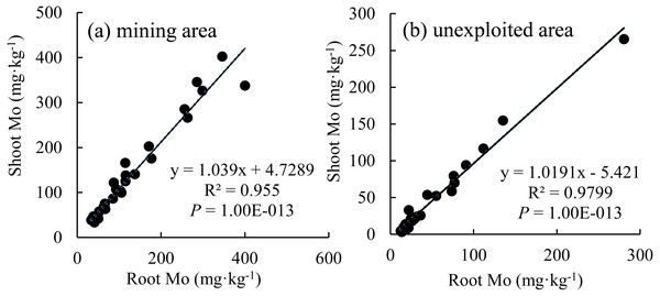 The relationship between shoot Mo and root Mo in plants.