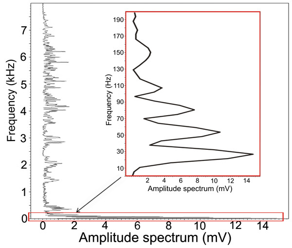 Amplitude spectrum of the low-frequency component.